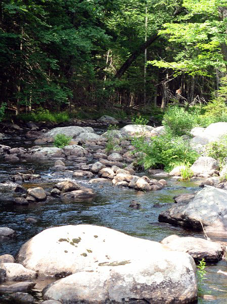 100706_1391.JPG