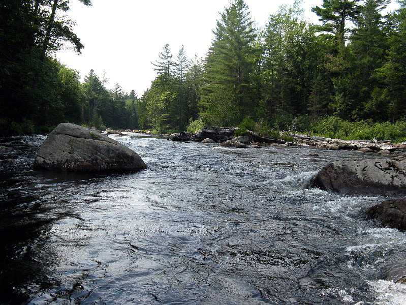 100706_1415.JPG