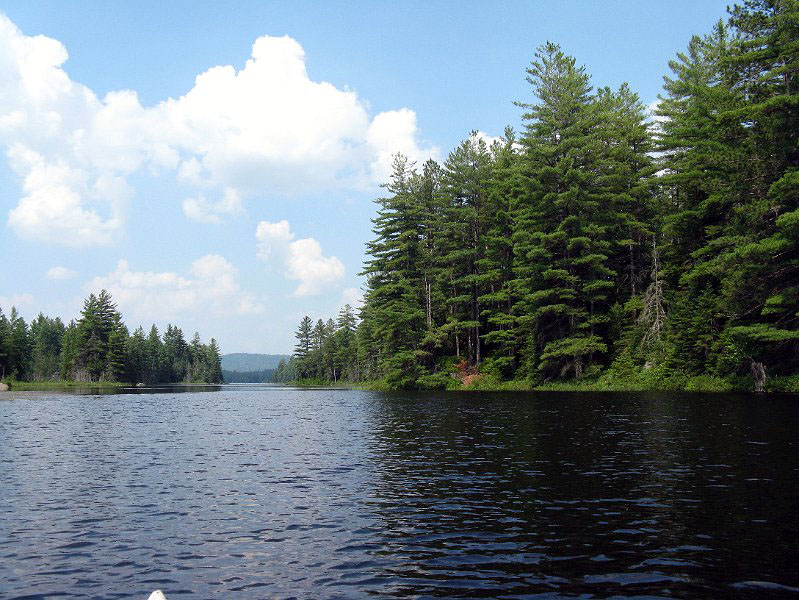 100706_1417.JPG