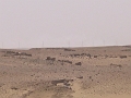 0903090059