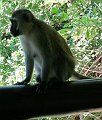 day03IMG_0279