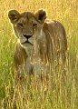 day06IMG_0578