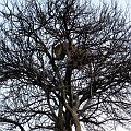 day06IMG_0595