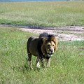 day06IMG_2570