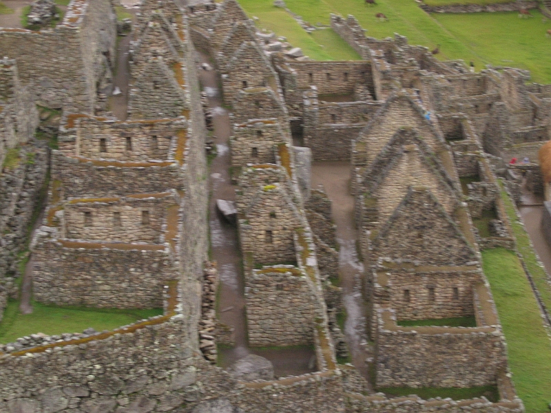 0806110018.JPG - Day 5, Wednesday, June 11, Machu Picchu