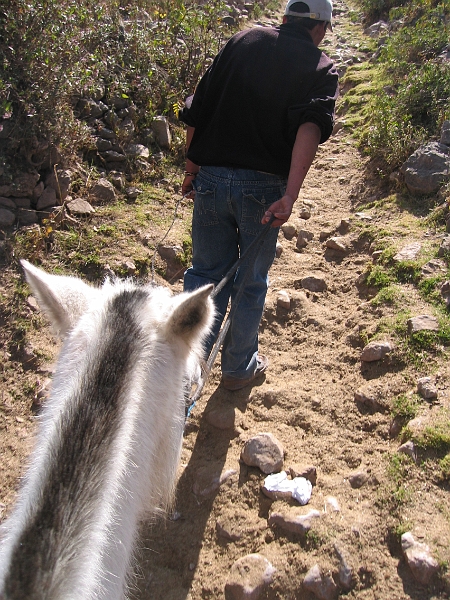 0806130003.JPG - Day 7, Friday, June 13, Cuzco.  We hire a guide and horses to explore Sacsawaman ruinas and the hills above Cuzco.