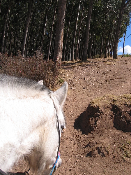 0806130035.JPG - Day 7, Friday, June 13, Cuzco.