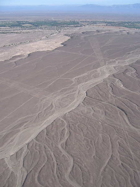 0806190011.JPG - Day 13, Thursday, June 19, Nazca Lines.