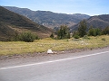 0806080004