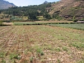 0806080017