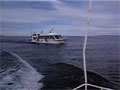 0806150038