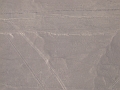 0806190016