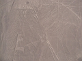 0806190021