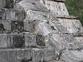 0703090102